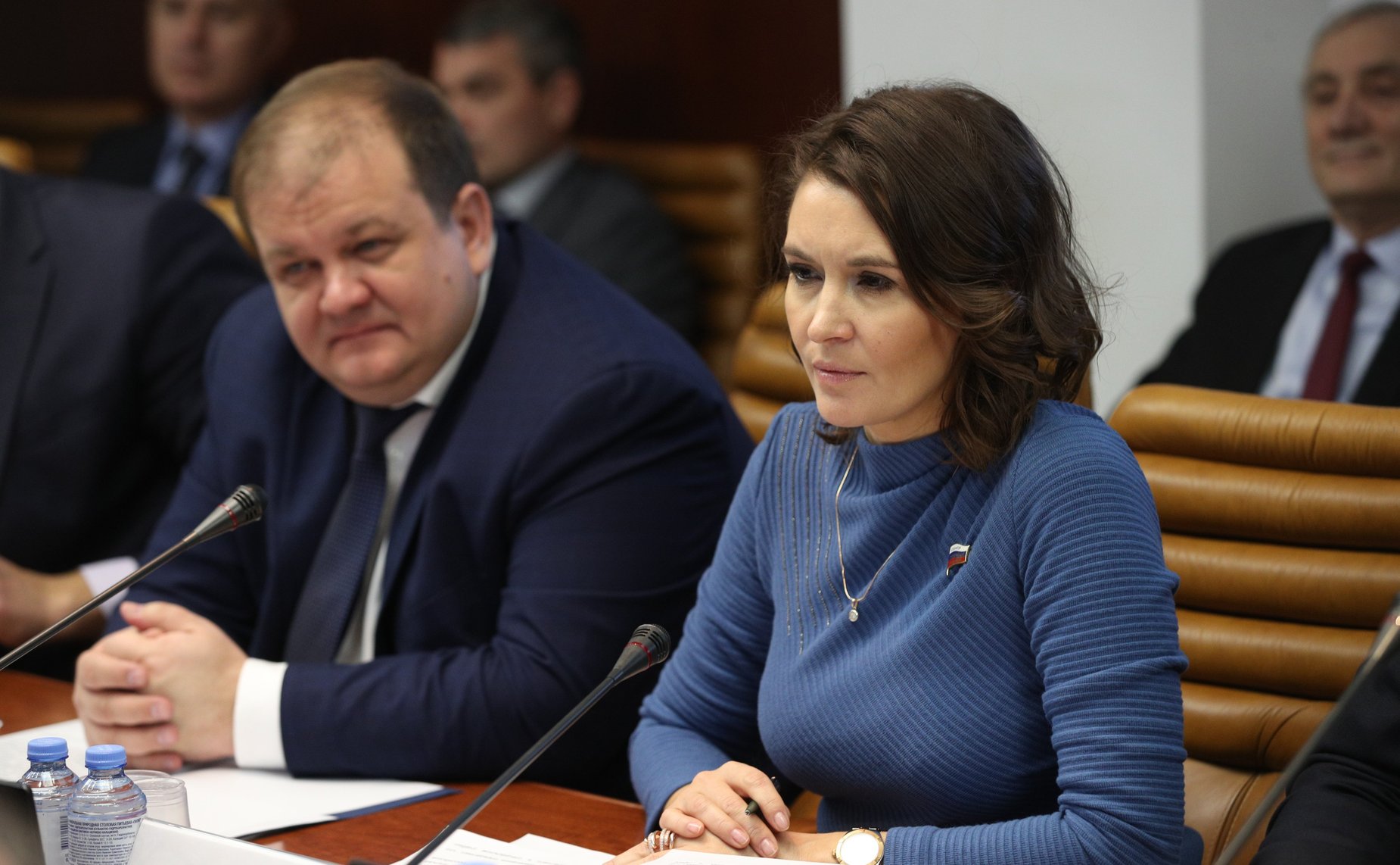 Заседание Комитета СФ по обороне и безопасности