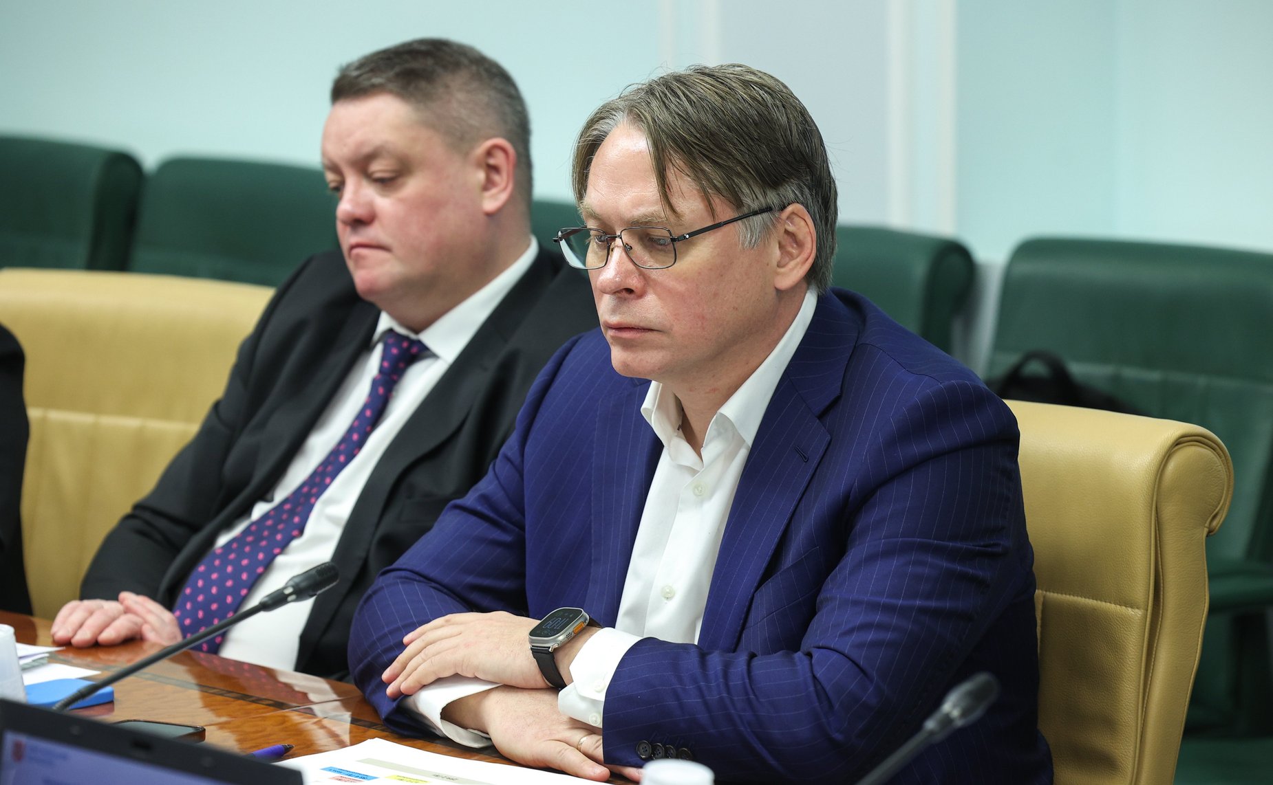 Заседание Совета по вопросам газификации субъектов Российской Федерации при Совете Федерации