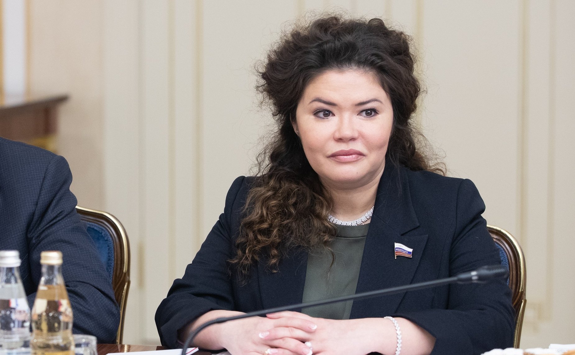 Встреча Константина Косачева с Чрезвычайным и Полномочным Послом Арабской Республики Египет в РФ Ихабом Насром