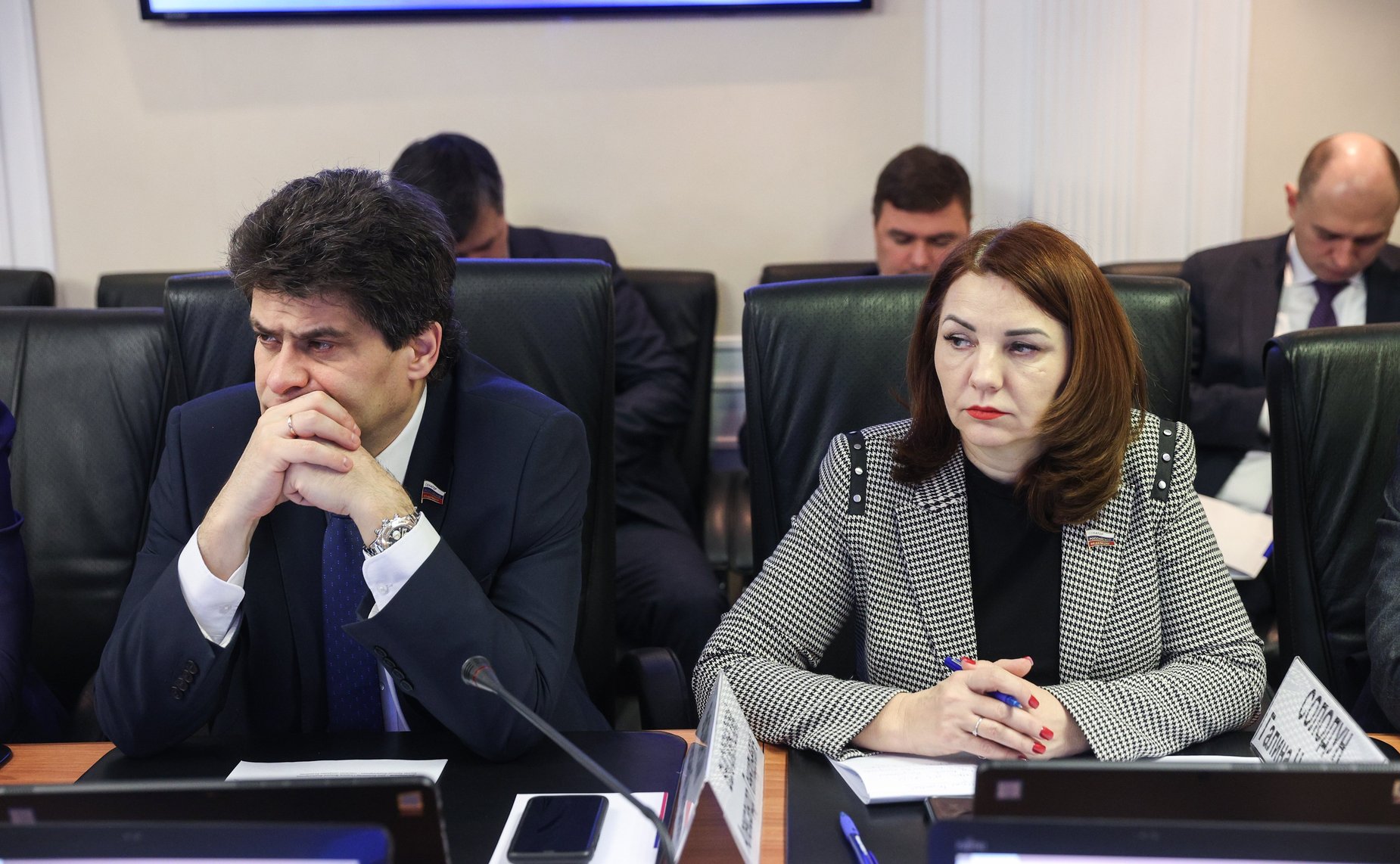 Заседание Комитета СФ по федеративному устройству, региональной политике, МСУ и делам Севера