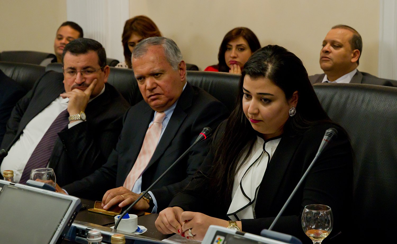 Встреча с  делегацией общественно-политических кругов Арабской республики Египет