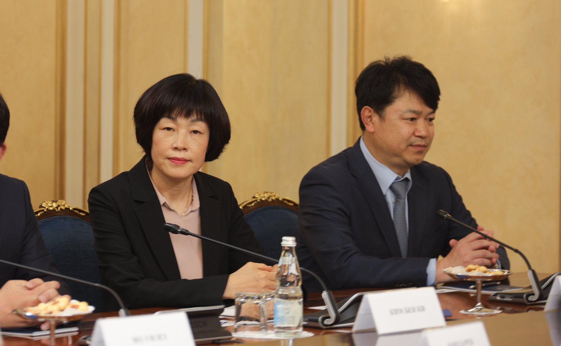 Встреча Валентины Матвиенко с Председателем Национального собрания Республики Корея