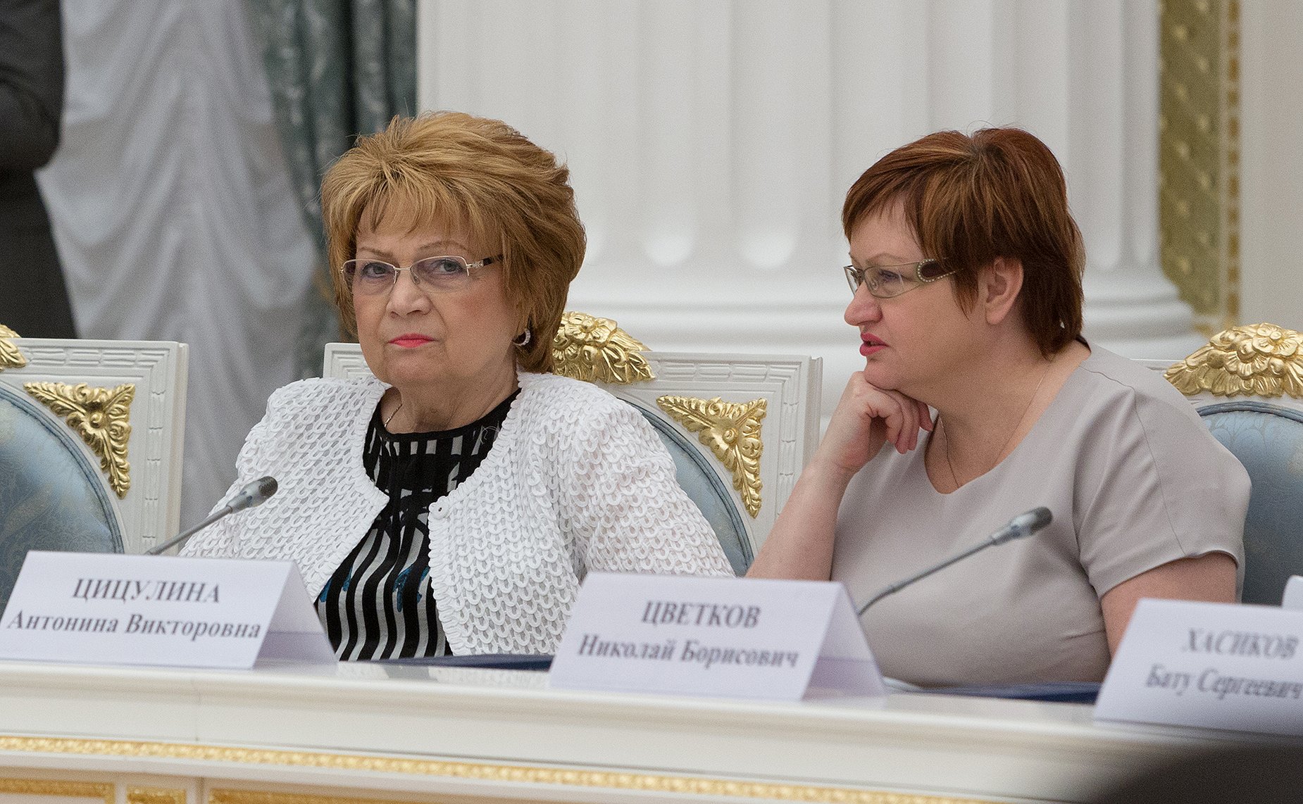 Заседание Координационного совета по реализации Национальной стратегии действий в интересах детей. Швецова и Цицулина