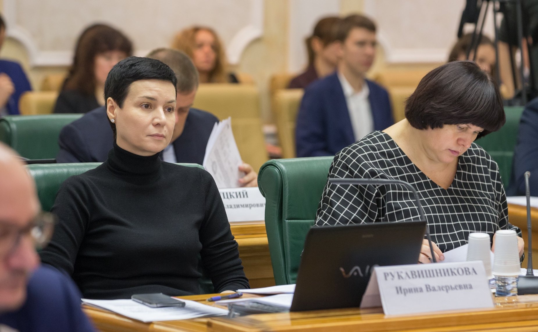 Ирина Рукавишникова