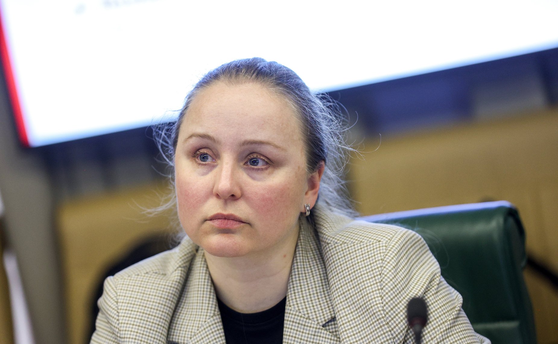 Панельная дискуссия Комитета Совета Федерации по Регламенту и организации парламентской деятельности