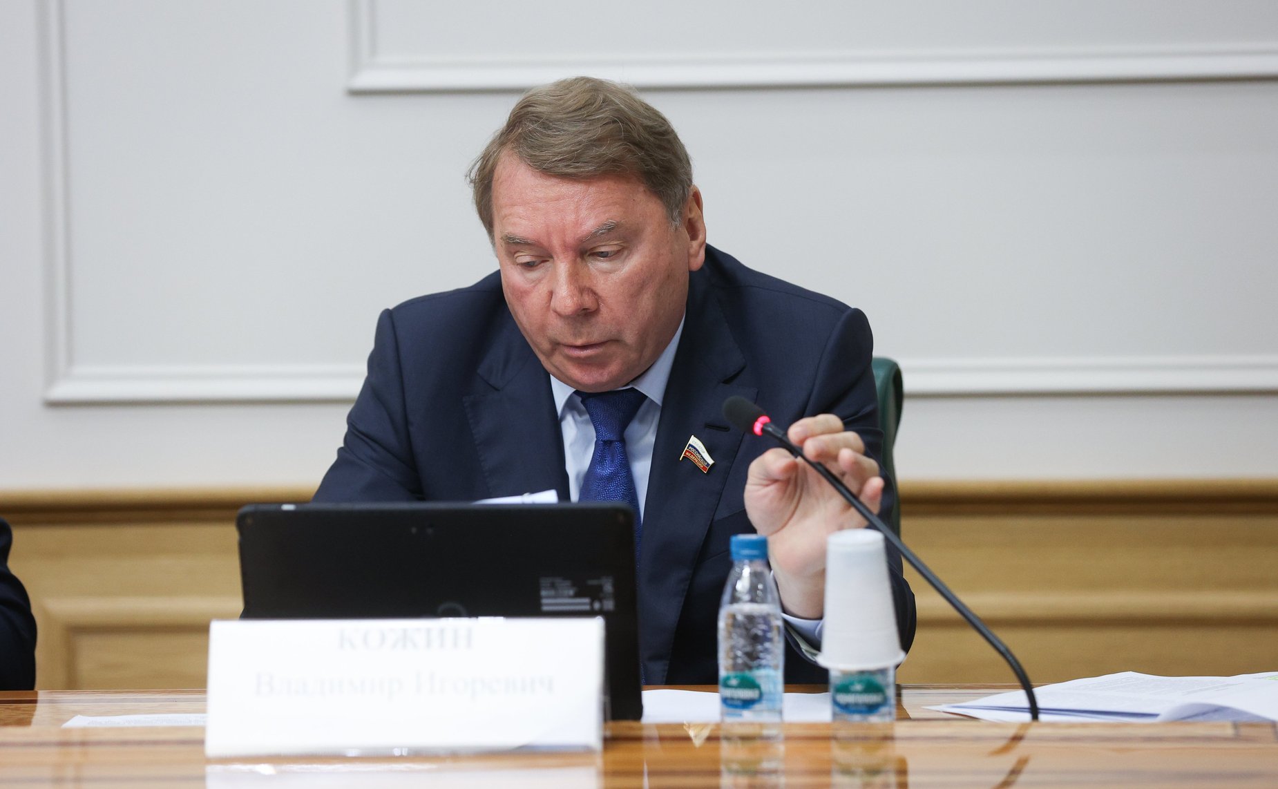 Владимир Кожин