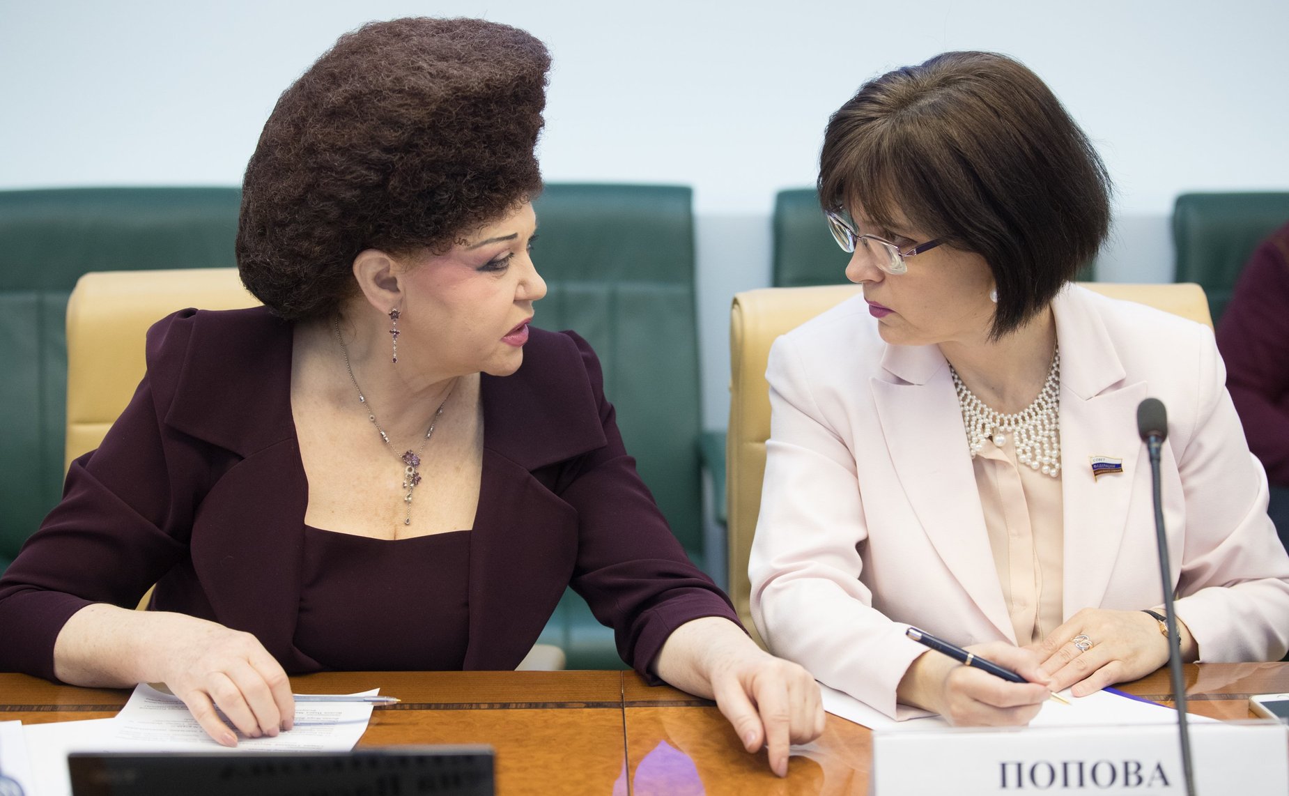 Заседание Комитета СФ по социальной политике