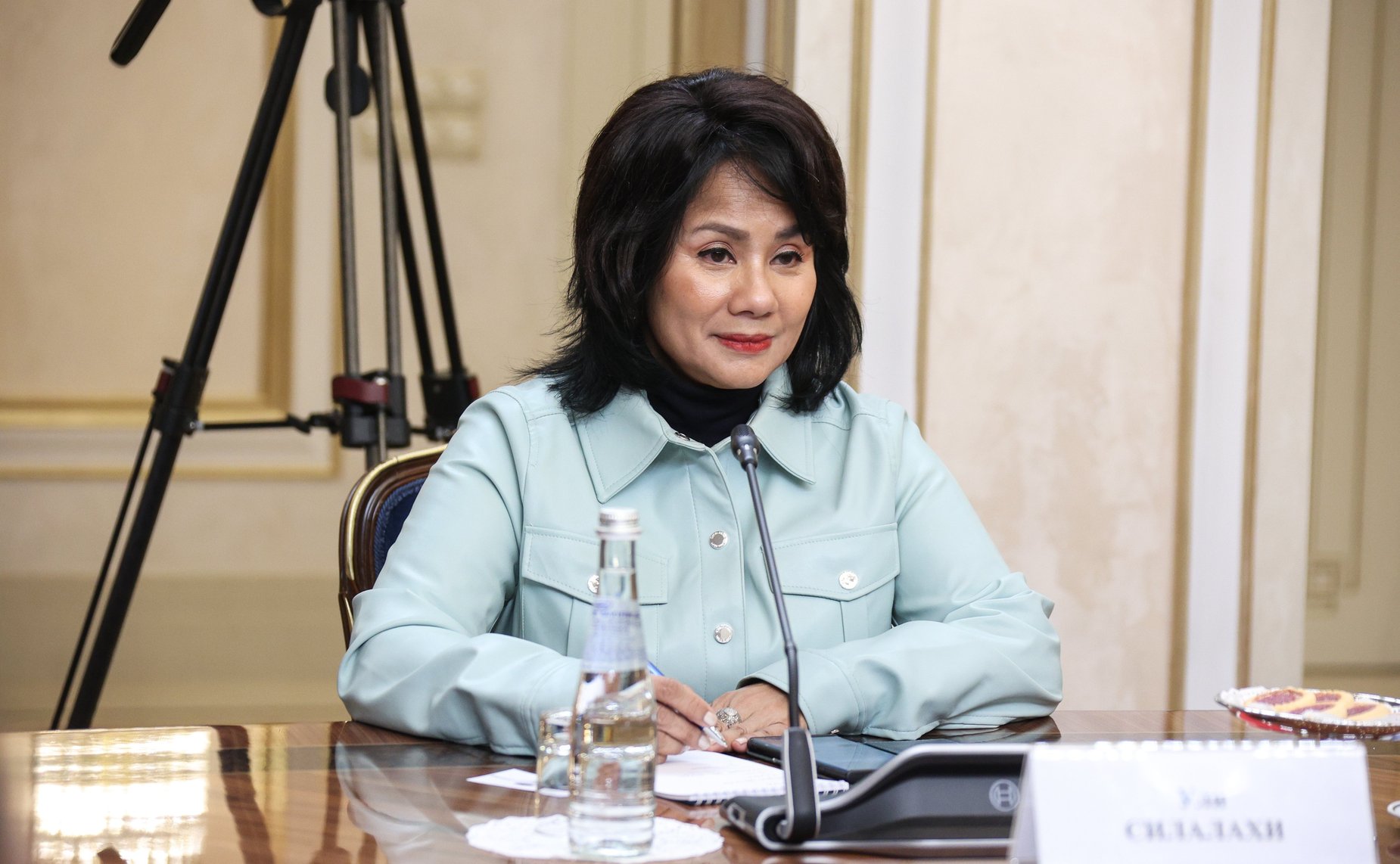 Встреча заместителя Председателя Совета Федерации Галины Кареловой с представителями «Женской двадцатки» (W20)