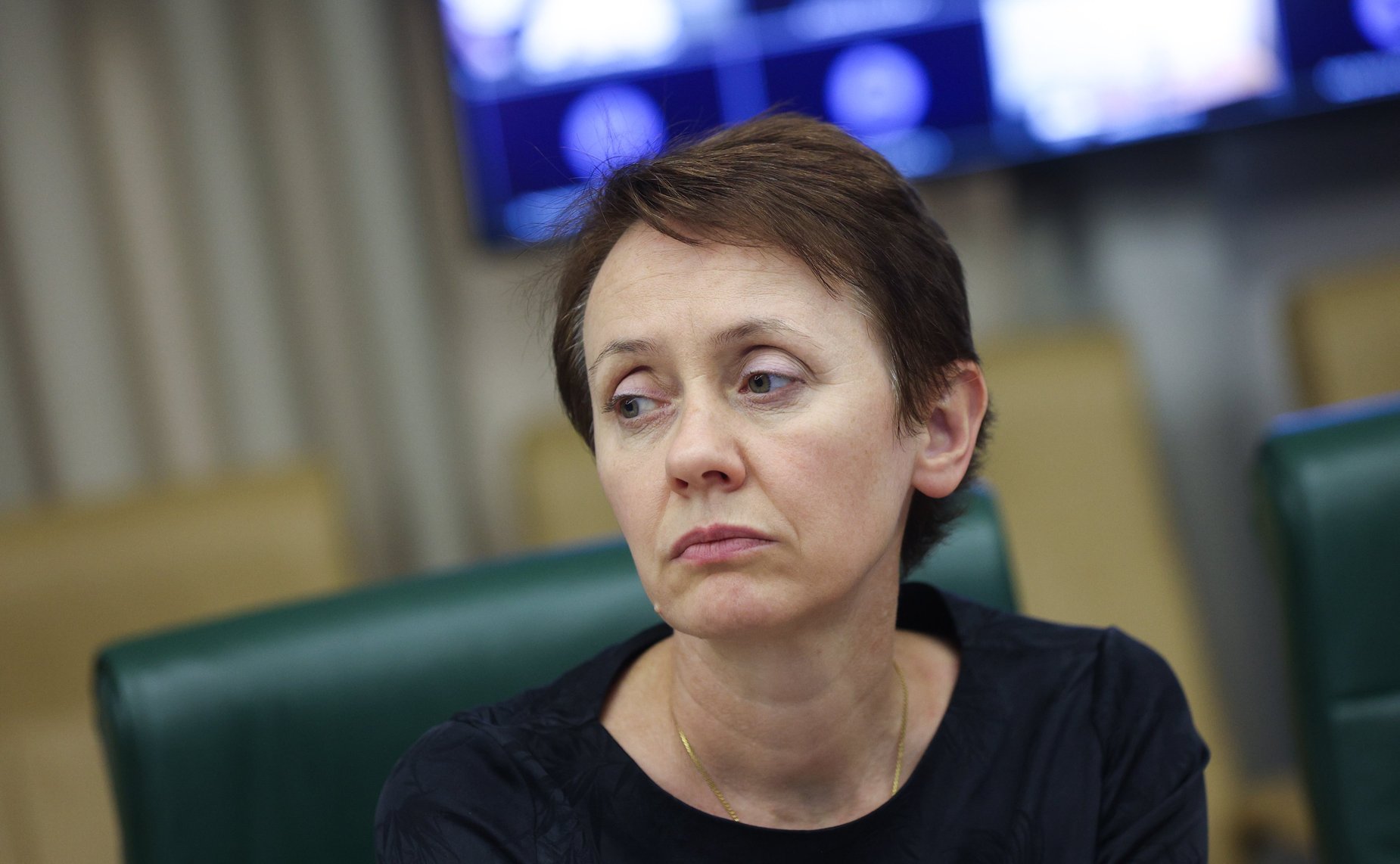 Совещание Комитета Совета Федерации по бюджету и финансовым рынкам