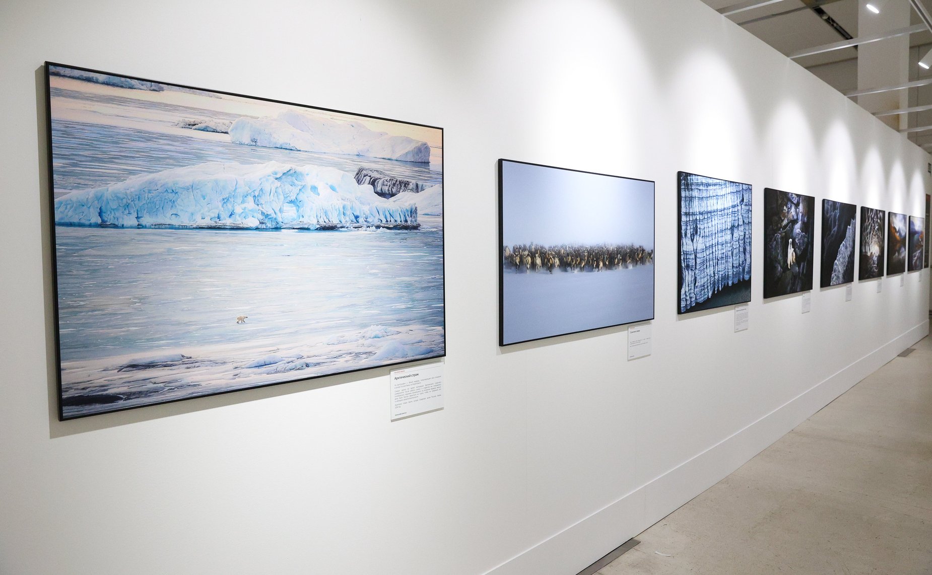 Валентина Матвиенко приняла участие в открытии XIII Общероссийского фестиваля природы «Первозданная Россия», который проходит под эгидой верхней палаты парламента