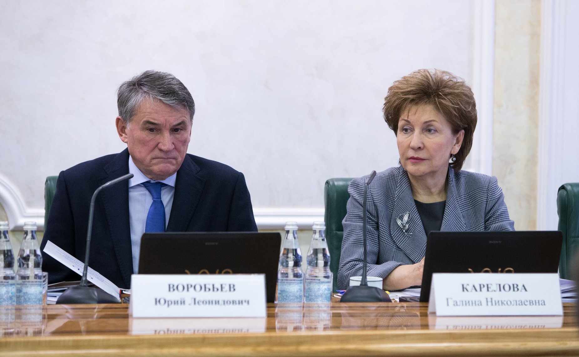 Воробьев и Карелова Встреча Председателя СФ со статс-секретарями министерств и ведомств Российской Федерации