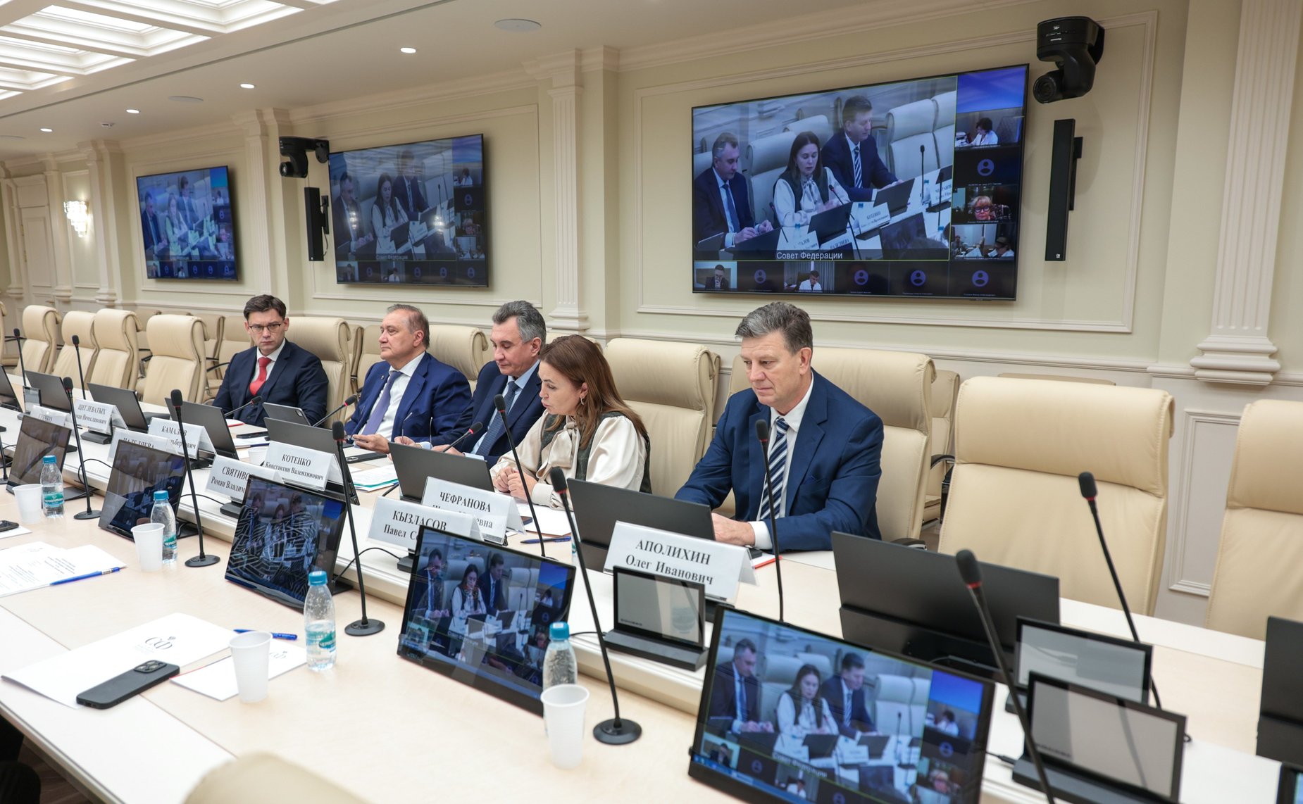 Заседание Экспертного совета по здравоохранению при Комитете Совета Федерации по социальной политике