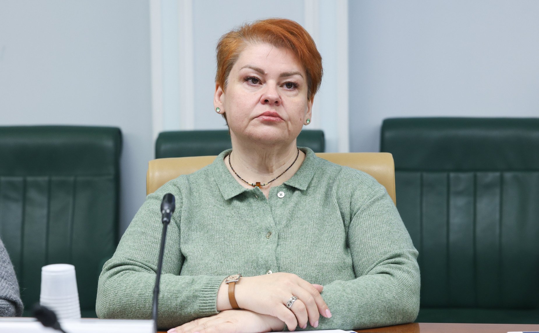 Заседание Экспертного совета по социальному развитию при Комитете Совета Федерации по социальной политике