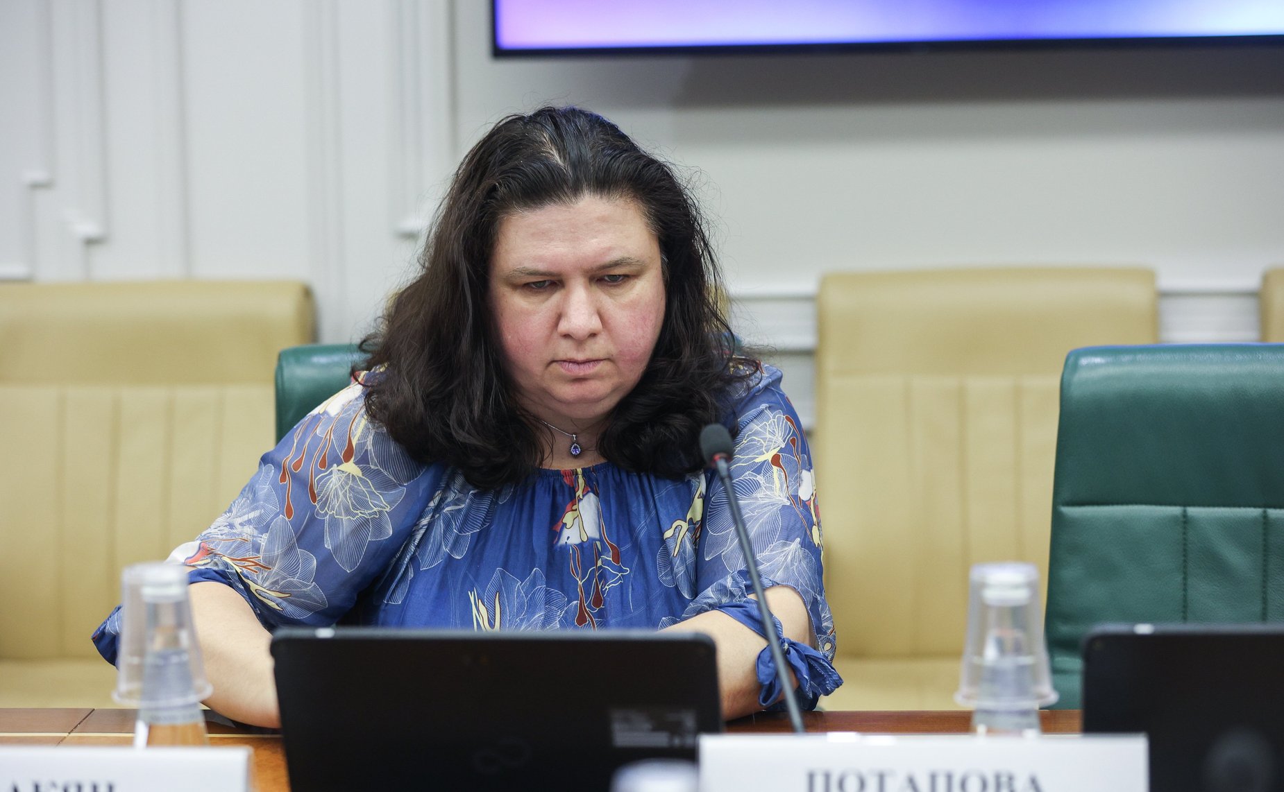 Заседание секции «Искусственный интеллект» Совета по развитию цифровой экономики при Совете Федерации