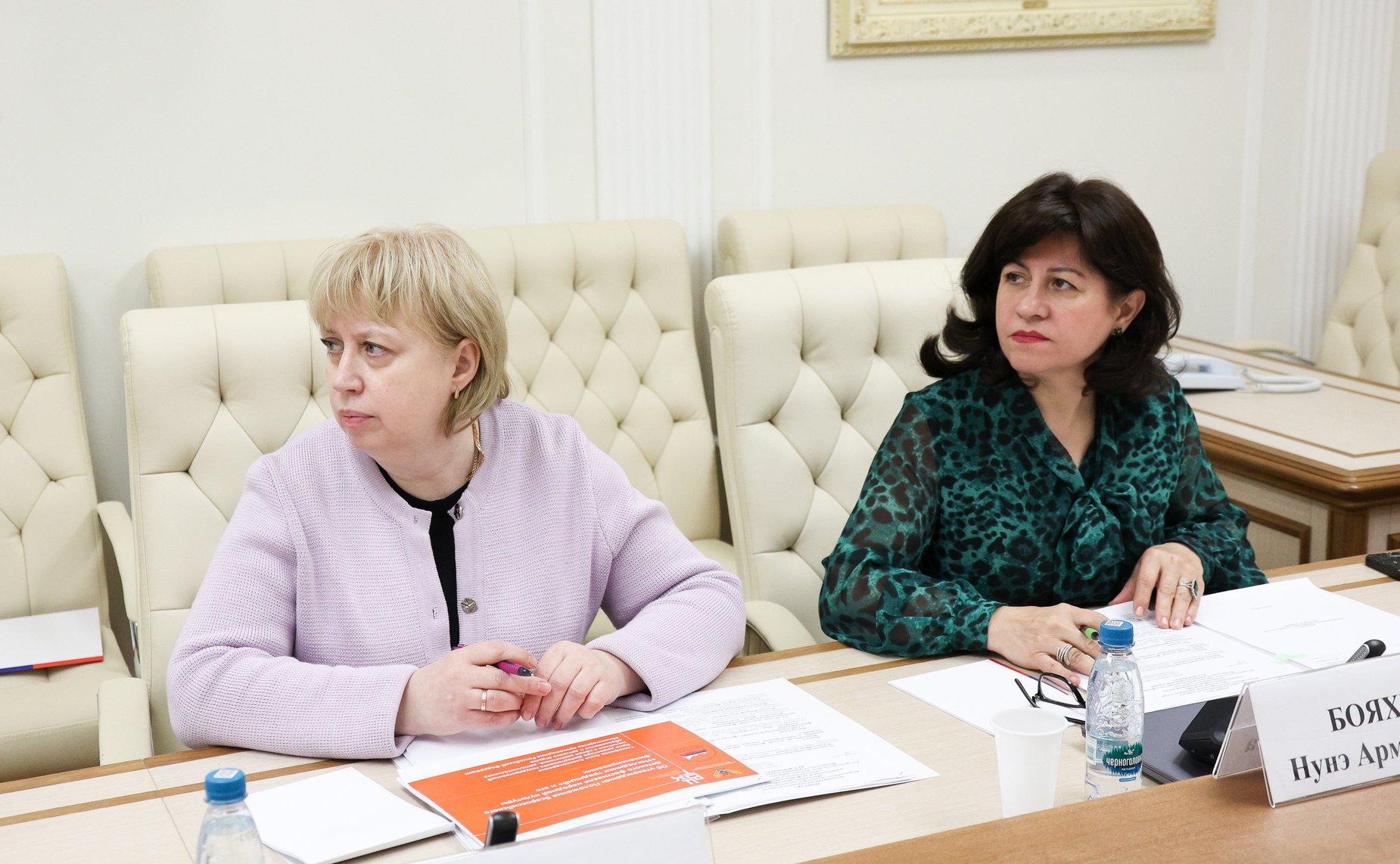 Заседание Оргкомитета Всероссийского детского фестиваля народной культуры «Наследники традиций» и каникулярной профориентационной школы «За безопасность»