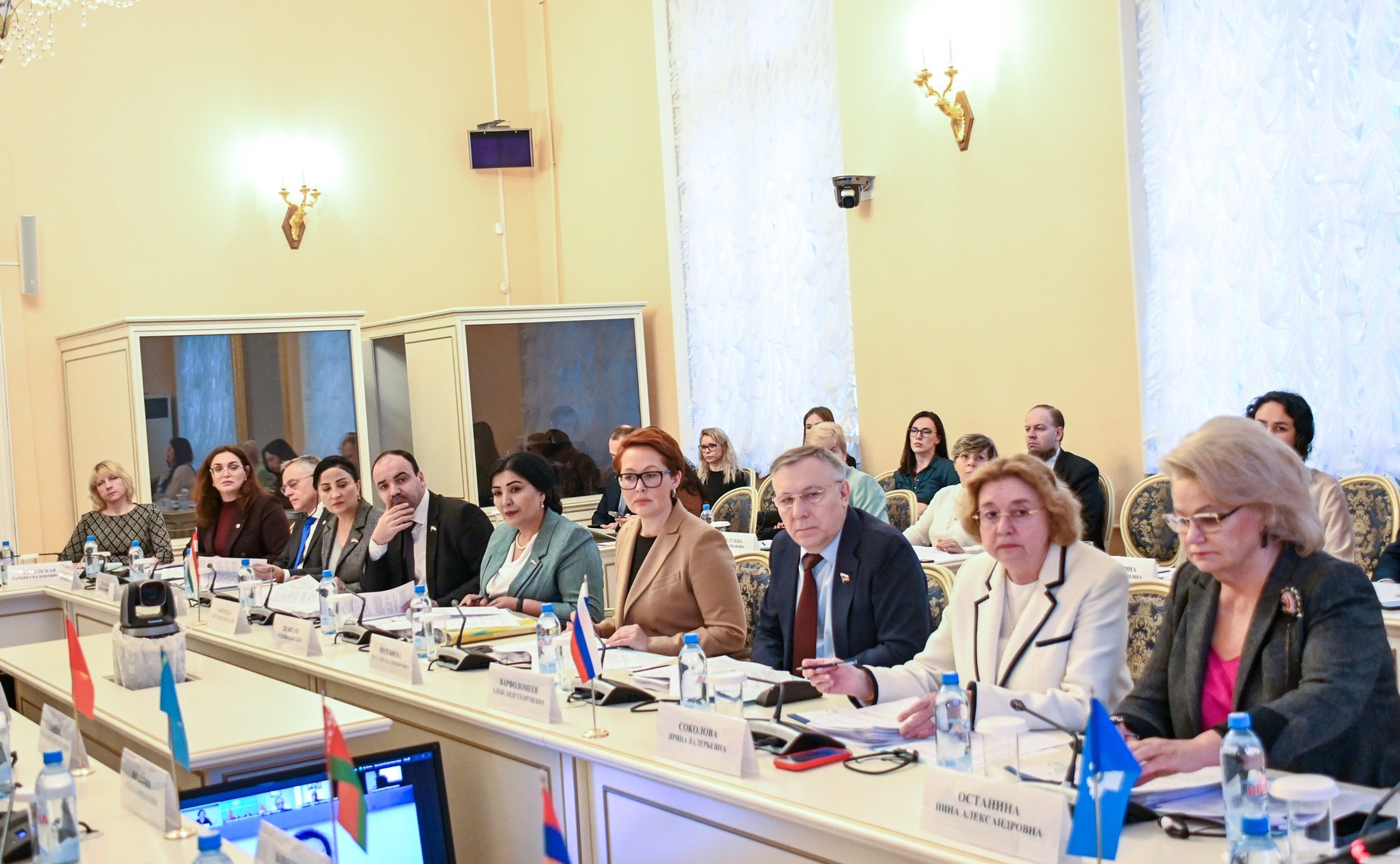 Сенаторы приняли участие в заседании Постоянной комиссии МПА СНГ по социальной политике и правам человека