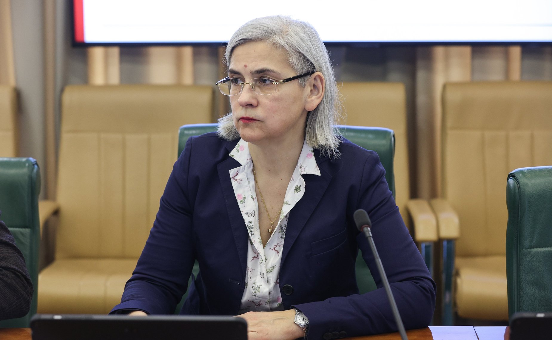 Круглый стол Комитета СФ по международным делам