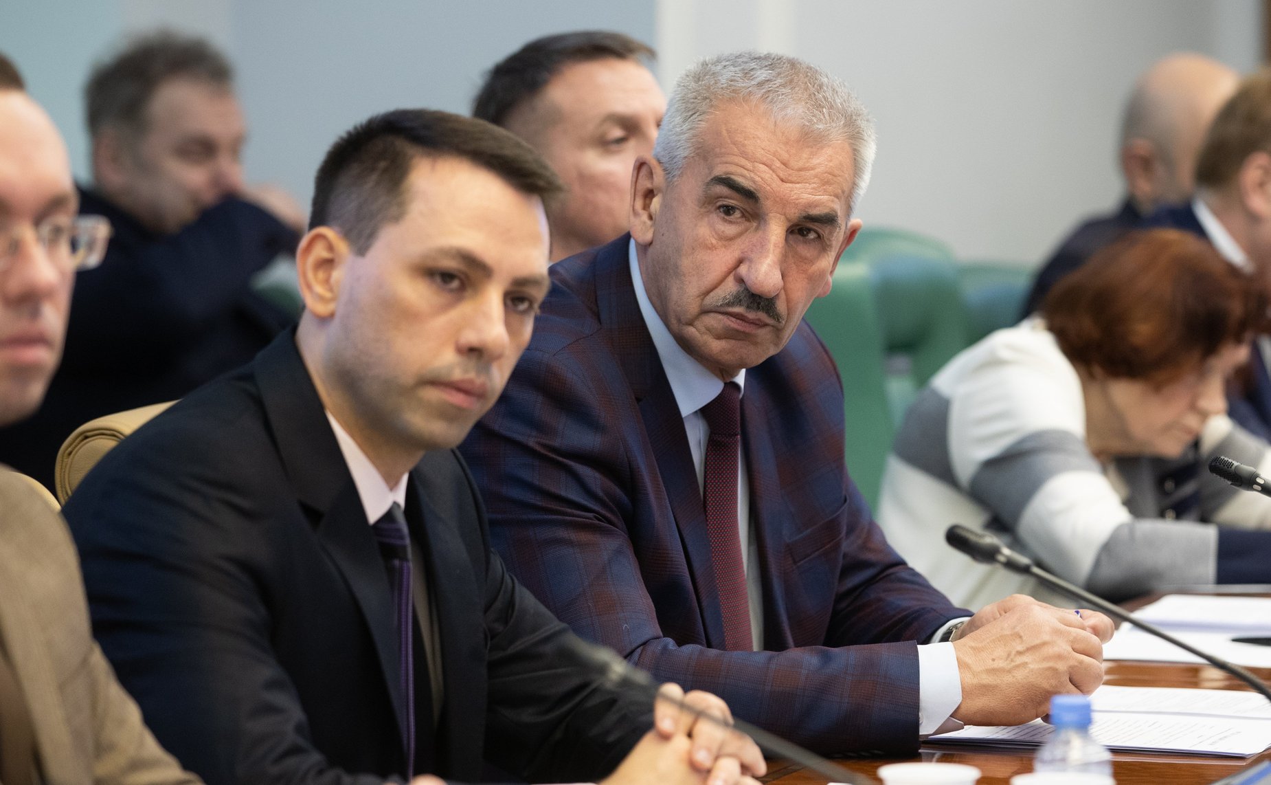 Заседание Экспертно-консультативного совета при Комитете СФ по конституционному законодательству и государственному строительству