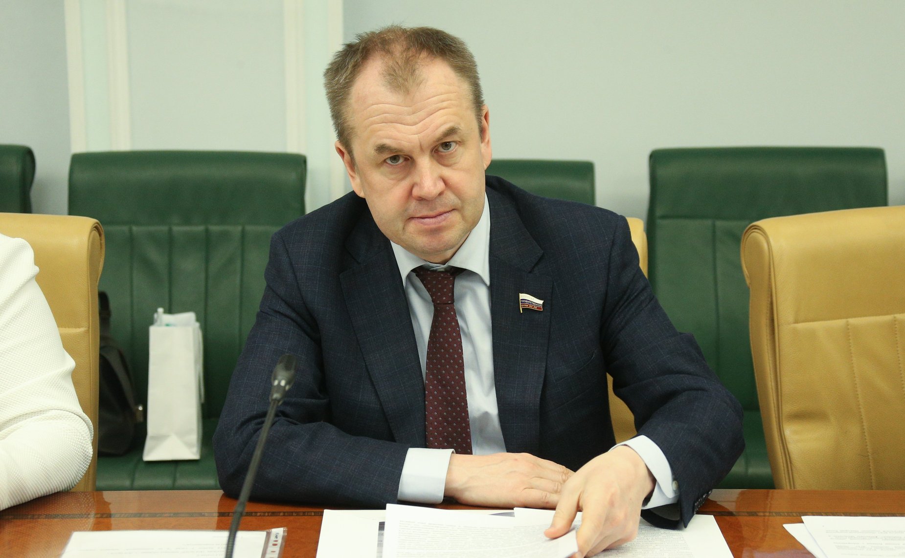 Заседание Экспертного совета по здравоохранению при Комитете СФ по социальной политике