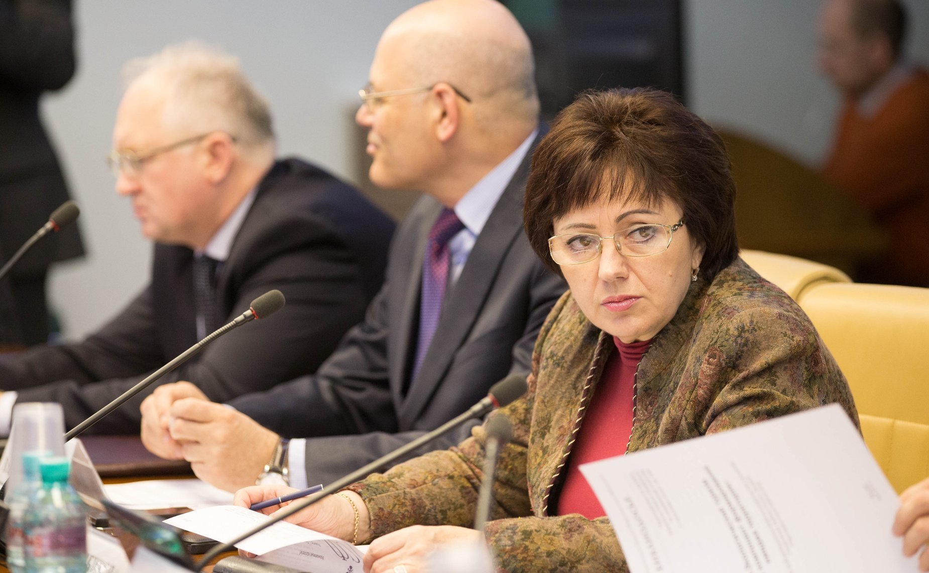 Е. Бибикова Расширенное заседание Комитета СФ по социальной политике с участием представителей органов государственной власти Ленинградской области