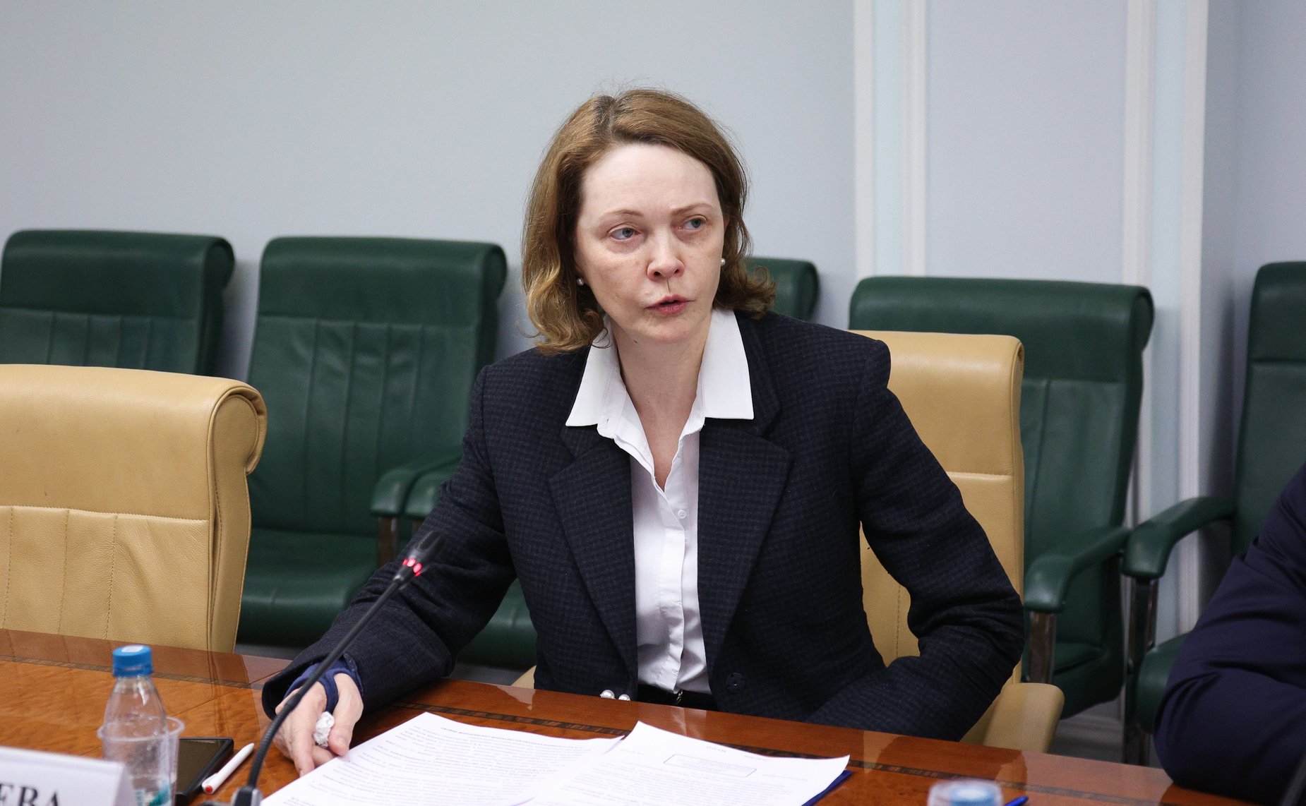 Совещание Комитета Совета Федерации по экономической политике «Повышение энергетической эффективности распределительных электрических сетей»