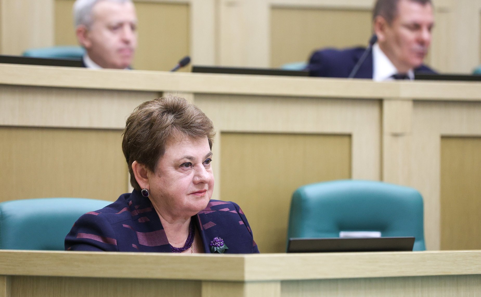 588-е заседание Совета Федерации