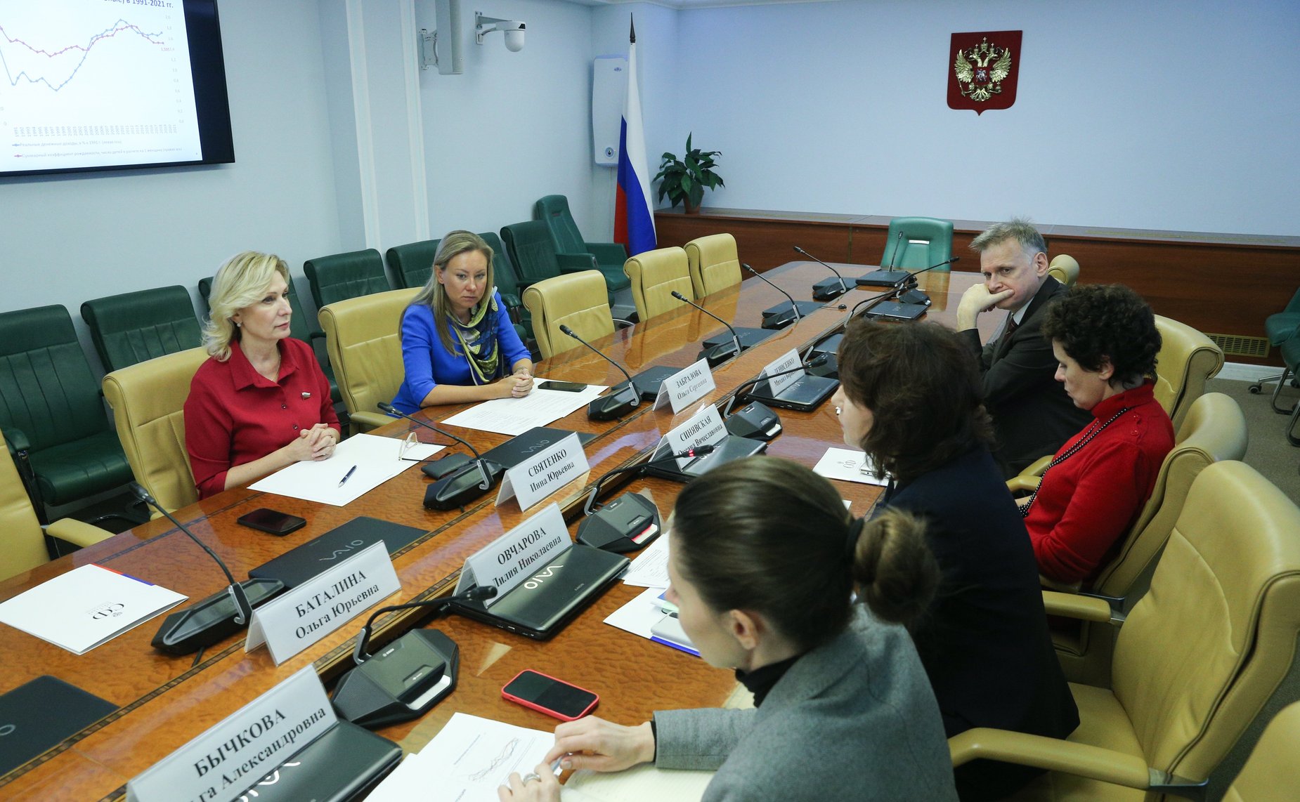 Заседание экспертного совета по социальному развитию при Комитете СФ по социальной политике
