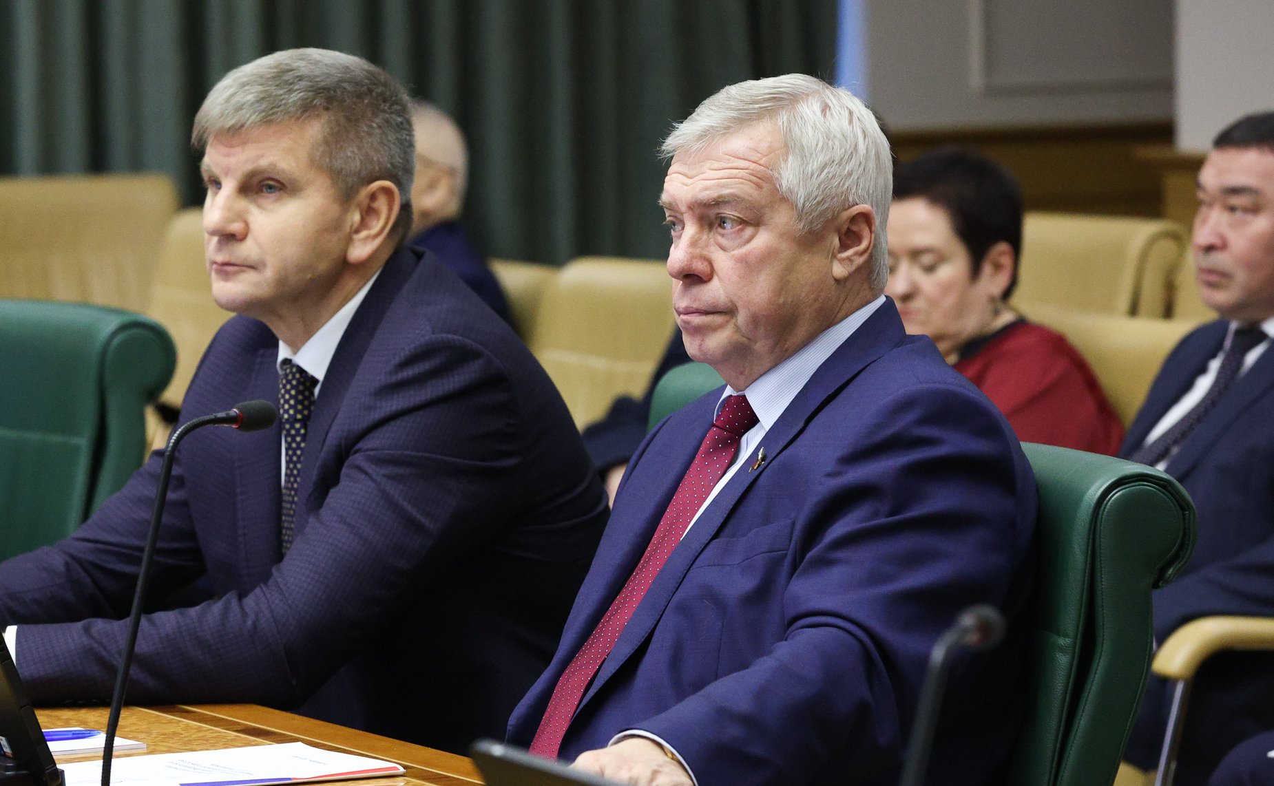 Встреча сенаторов РФ с руководителем Федерального медико-биологического агентства Вероникой Скворцовой в формате «парламентского диалога»