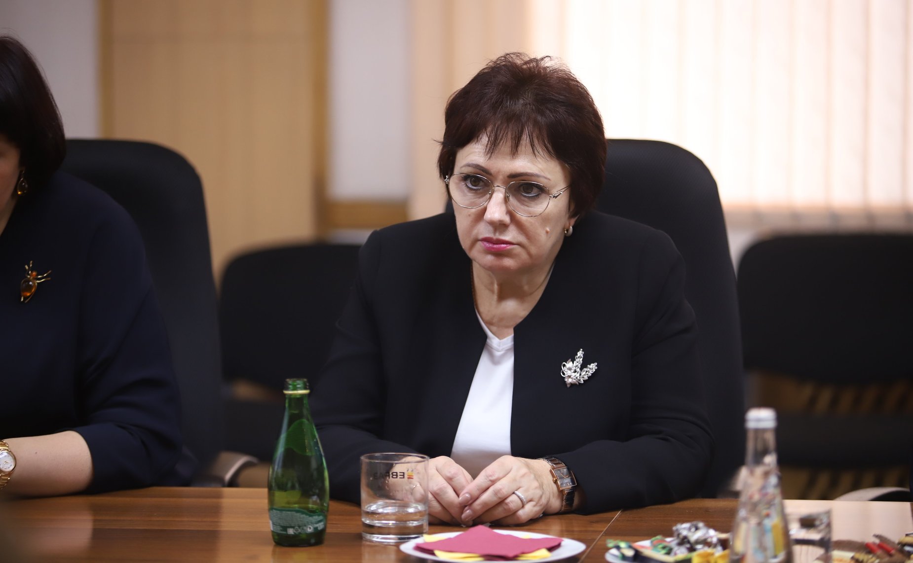 Елена Бибикова