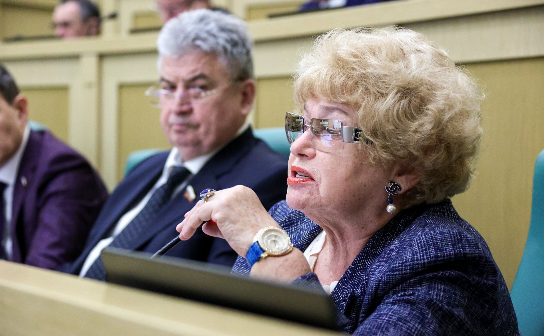 603-е заседание Совета Федерации