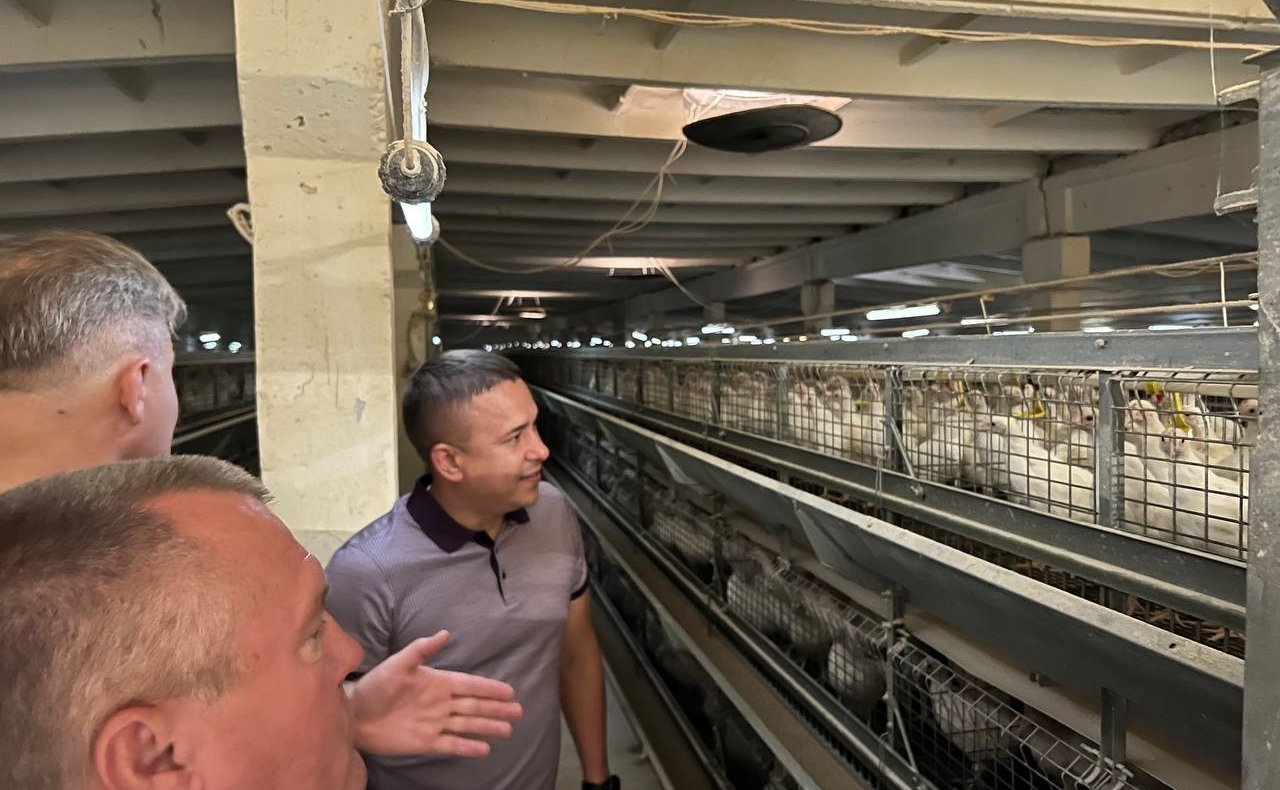 Айрат Гибатдинов в ходе поездки в регион посетил предприятия агропромышленного комплекса в Вешкаймском районе