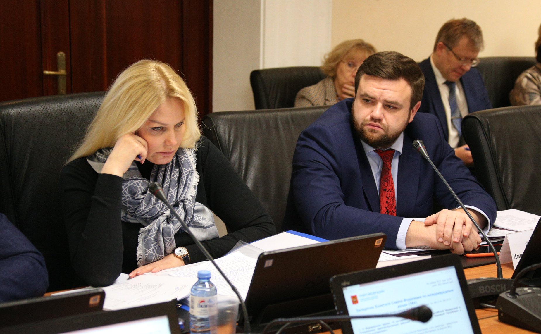 Заседание Комитета СФ по международным делам