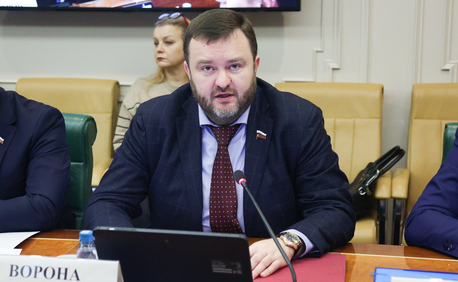 Дмитрий Ворона