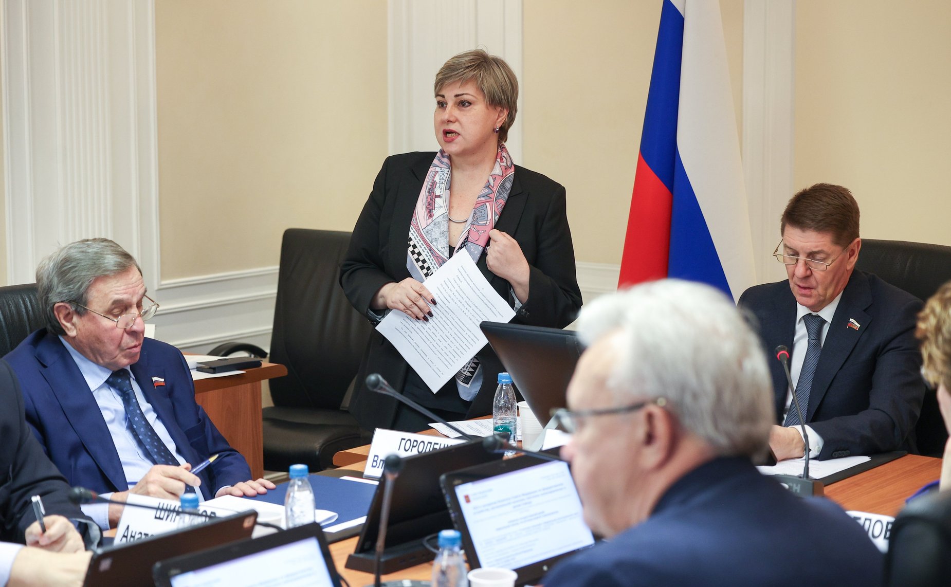 Заседание Комитета Совета Федерации по федеративному устройству, региональной политике, местному самоуправлению и делам Севера