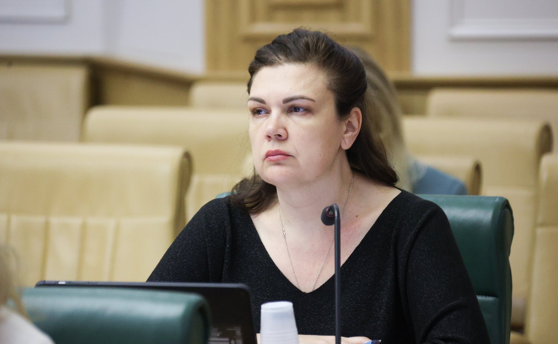 Заседание экспертного совета при Совете при Президенте по реализации государственной демографической и семейной политики