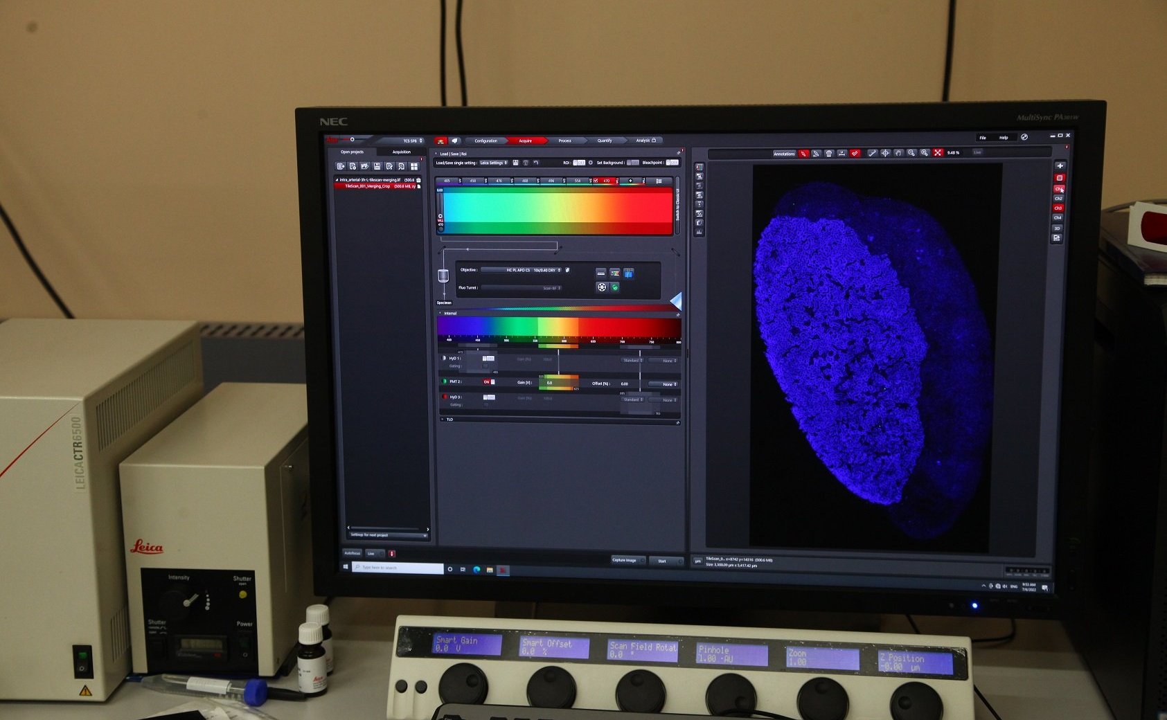 В Саратовском национальном исследовательском государственном университете им. Н.Г. Чернышевского