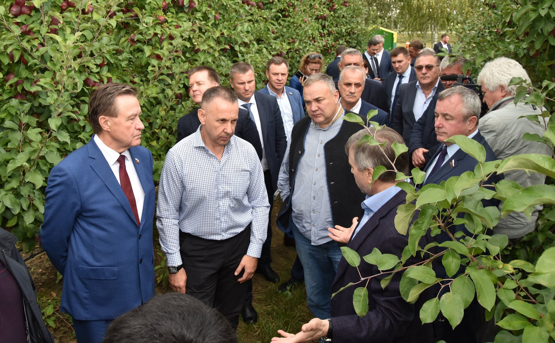 Сергей Митин провел совещание на тему «Совершенствование норм правого регулирования и механизмов государственной защиты российского рынка сельскохозяйственной продукции от недобросовестной конкуренции (на примере рынка плодов)»