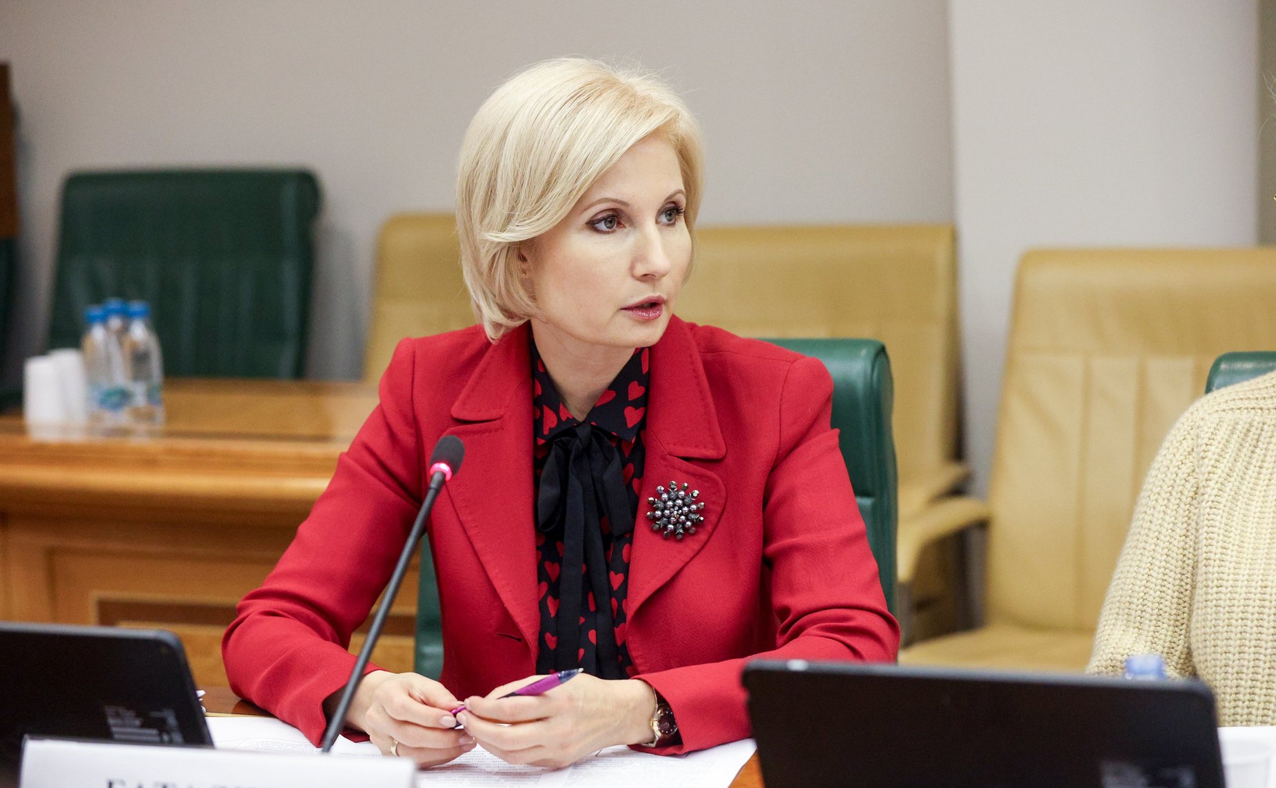 Заседание Совета по развитию социальных инноваций субъектов РФ при СФ «Перспективные направления реализации семейной и демографической политики»