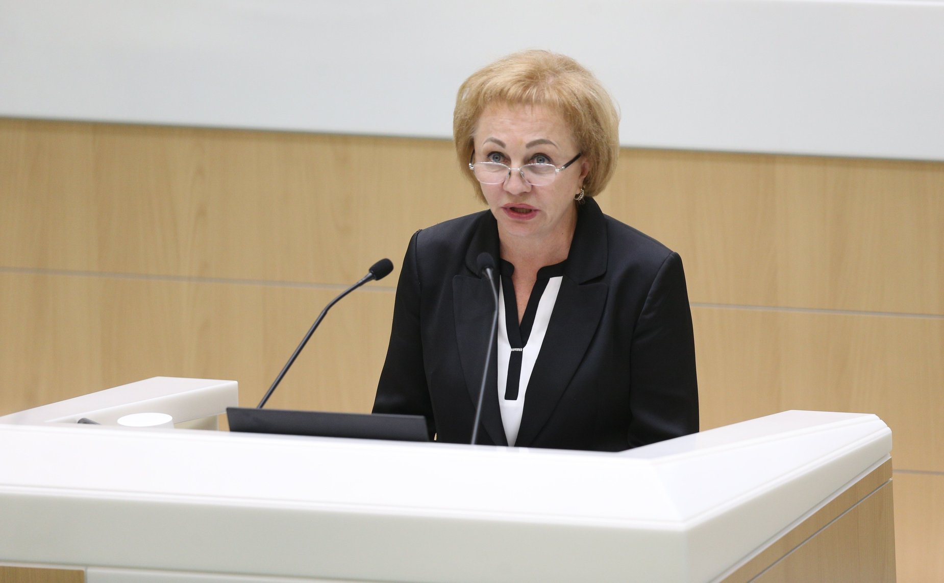 Встреча Председателя Совета Федерации Валентины Матвиенко с руководителями центров народного творчества, домов и дворцов культуры, деятелями культуры и искусства