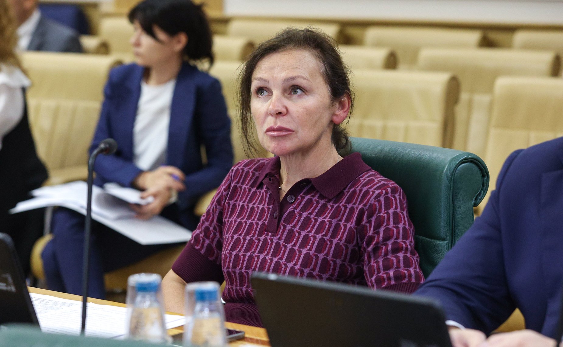 Заседание Комитета Совета Федерации по конституционному законодательству и государственному строительству