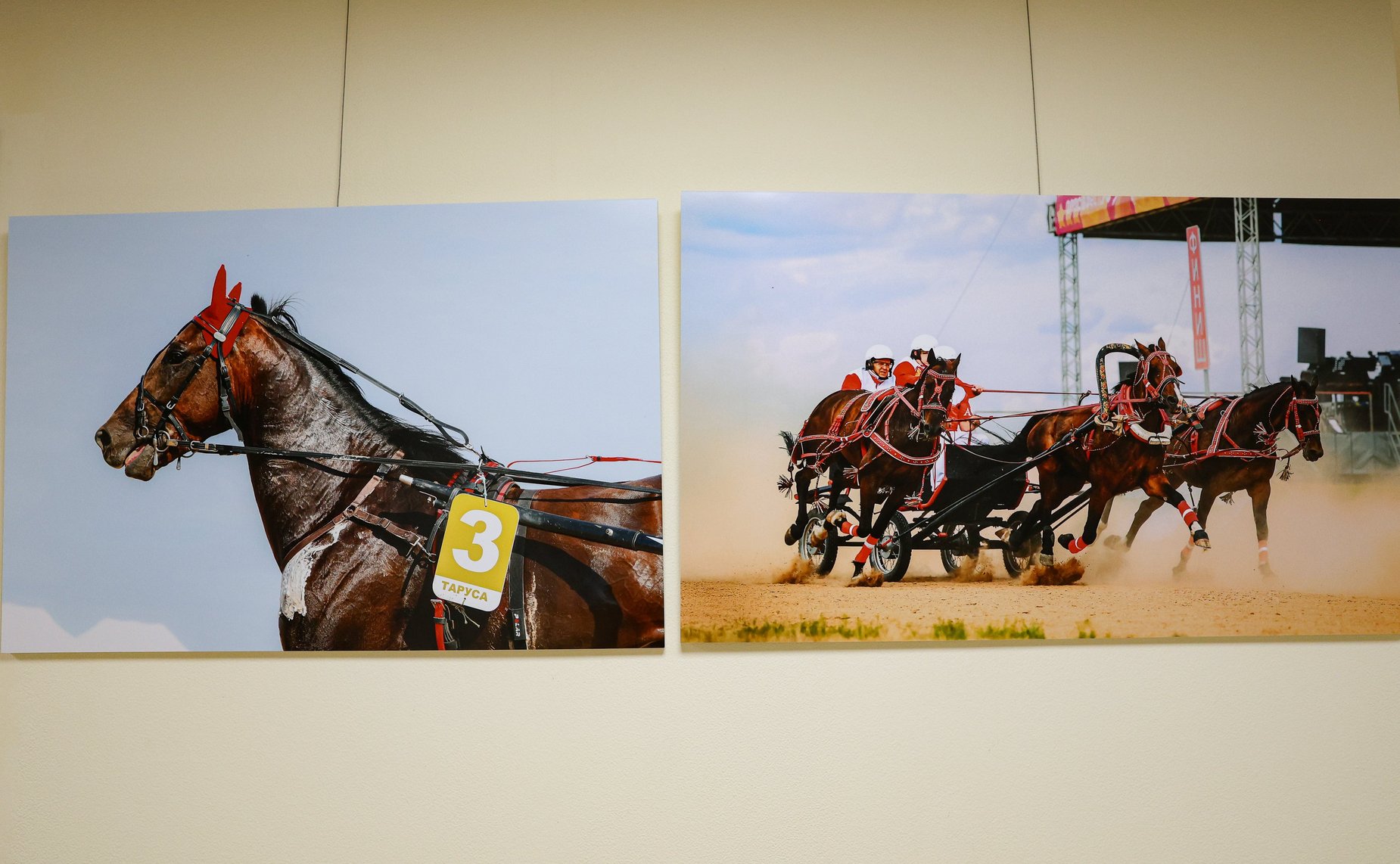 В Совете Федерации прошла церемония открытия выставки «250-летие Орловской рысистой породы лошадей»