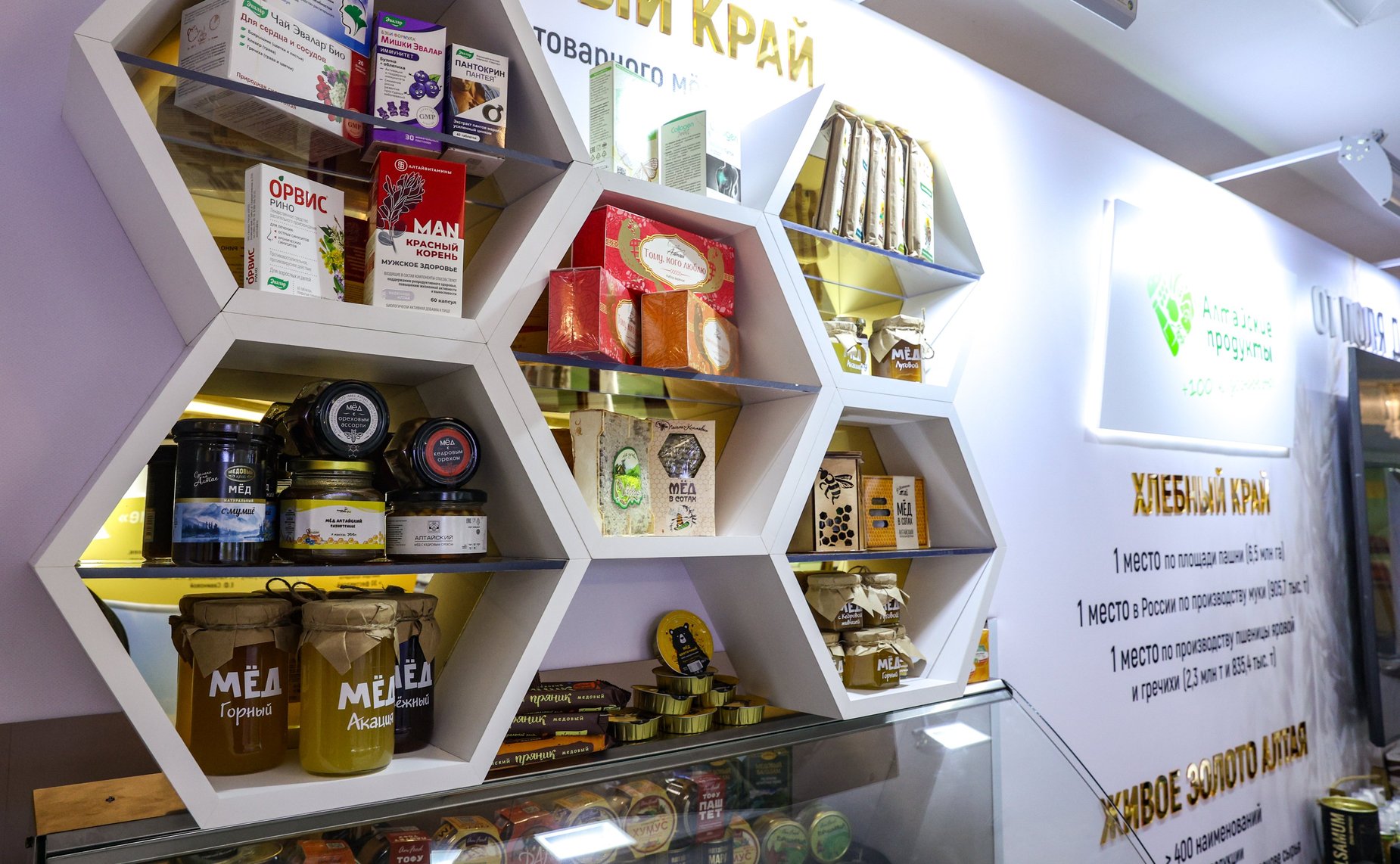 Валентина Матвиенко и Виктор Томенко осмотрели выставку, посвященную истории и перспективным направлениям развития Алтайского края