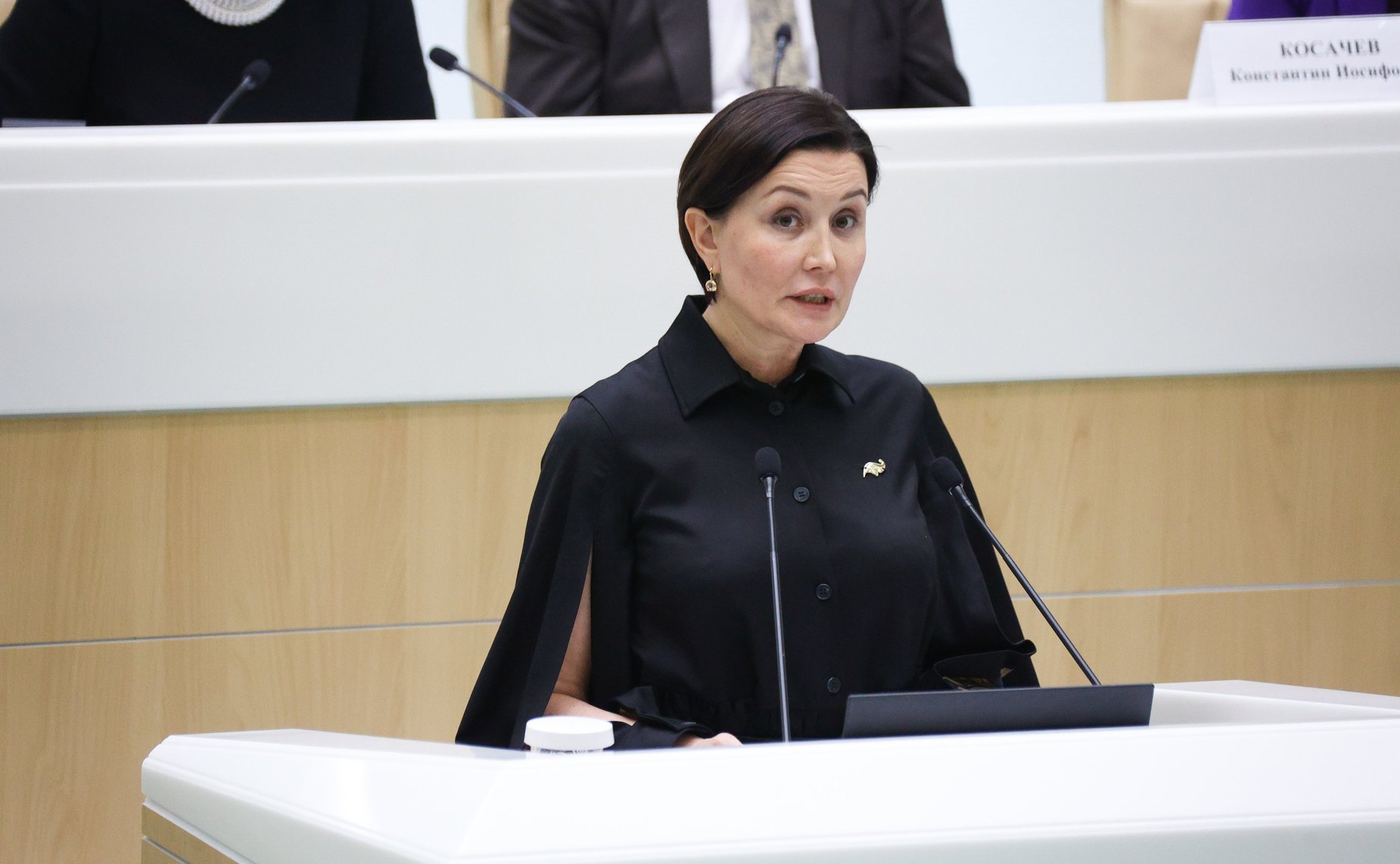 Парламентские слушания на тему «Сохранение объектов культурного наследия (памятников истории и культуры) народов Российской Федерации: программный подход и законодательное обеспечение»