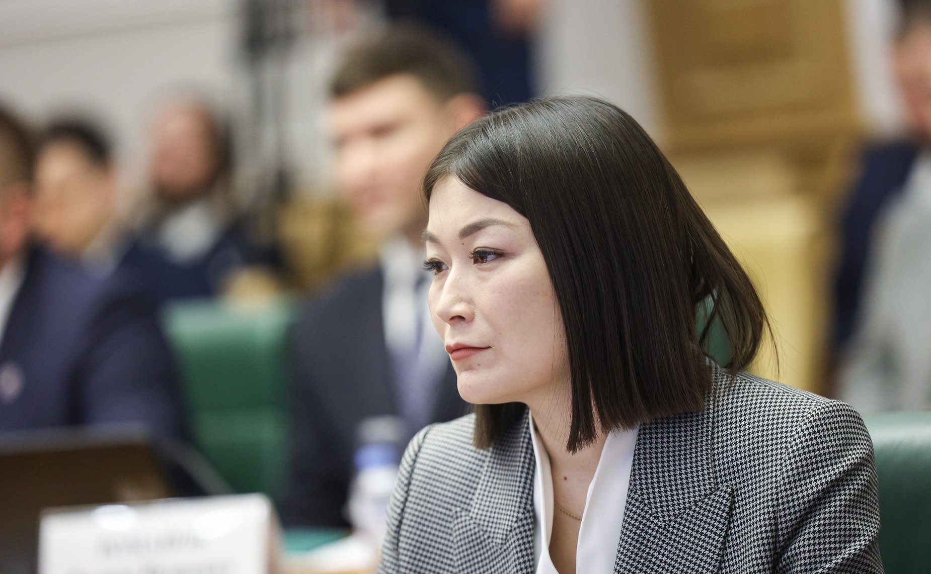 Встреча Константина Косачева с членами Палаты молодых законодателей при Совете Федерации