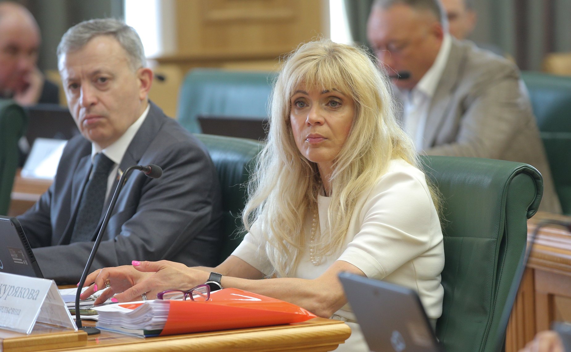 Расширенное заседание Комитета СФ по бюджету и финансовым рынкам