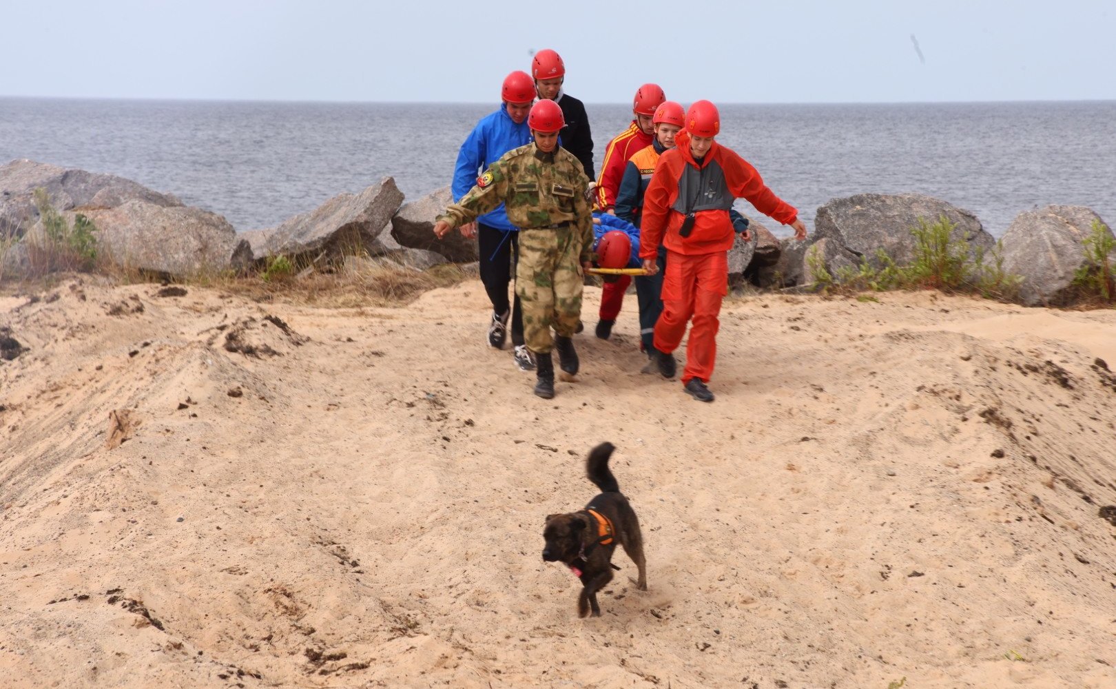 Юрий Воробьев и заместитель Председателя Совета Республики Национального собрания Республики Беларусь Валерий Бельский приняли участие в мероприятиях каникулярной профориентационной школы «За безопасность!»