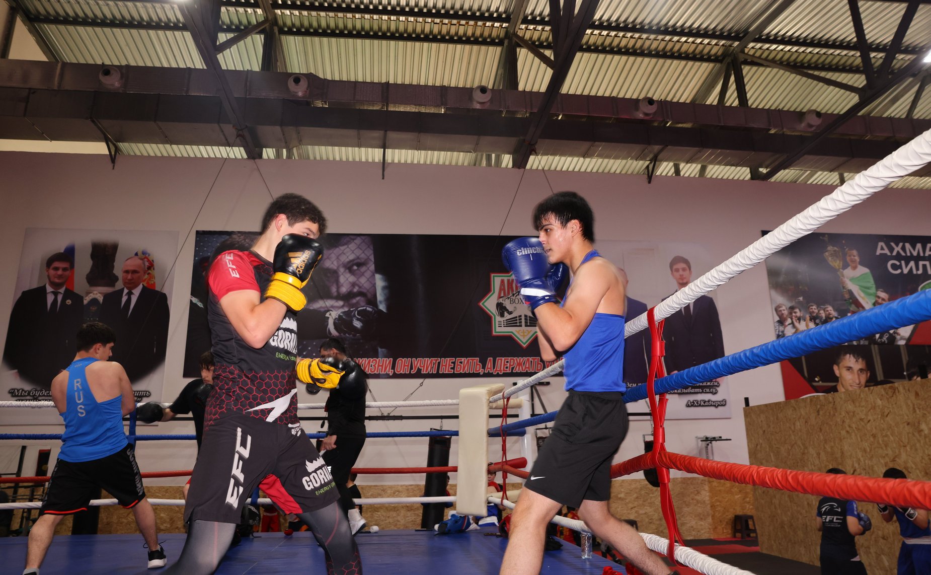 Мохмад Ахмадов провел выездное заседание Экспертного совета по физической культуре и спорту при Комитете СФ по социальной политике