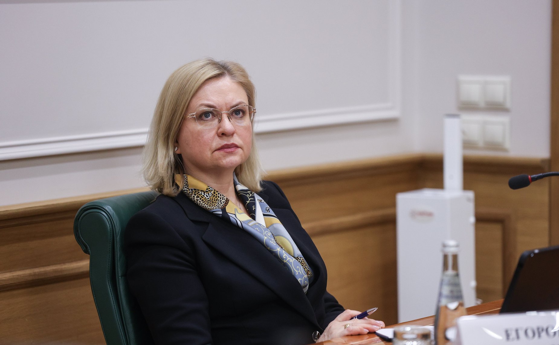 Заседание Совета по вопросам интеграции воссоединённых субъектов РФ в правовую и социально-экономическую системы РФ