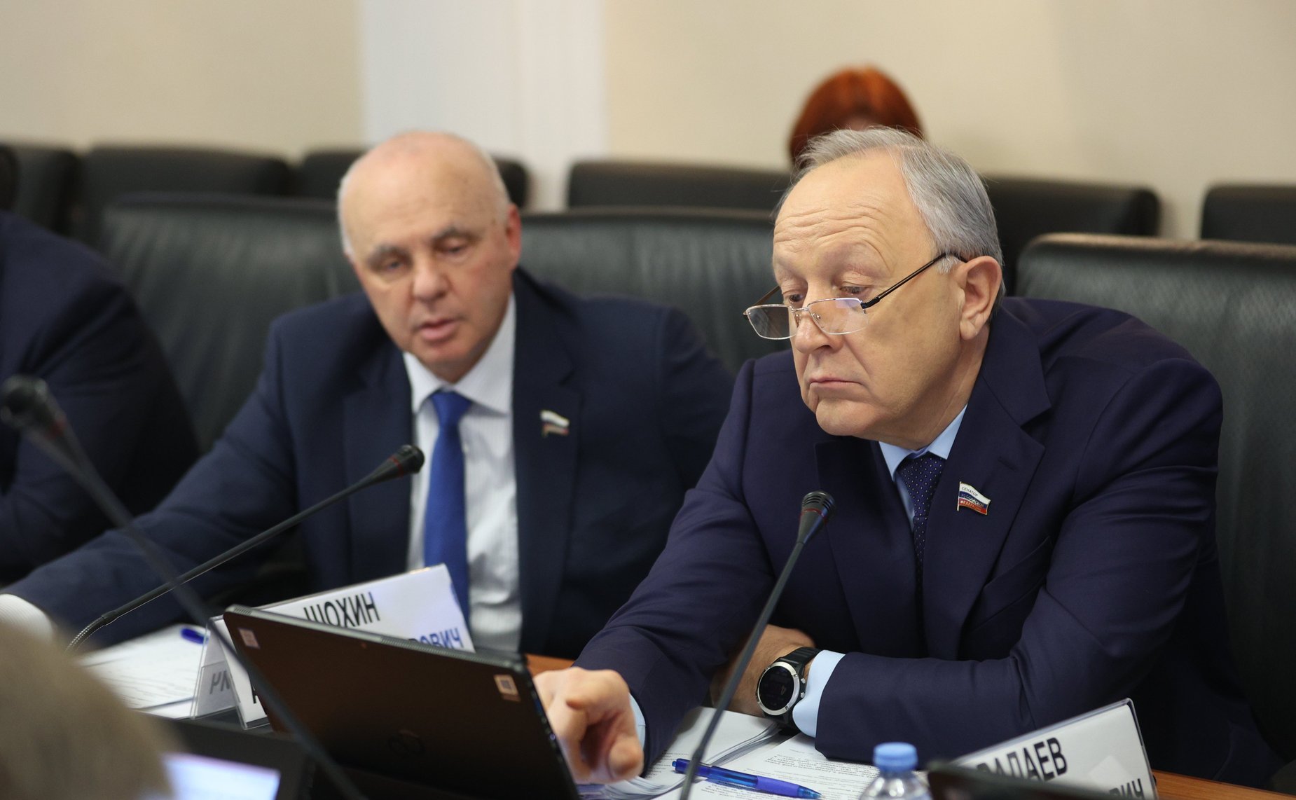 Заседание Комитета СФ по федеративному устройству, региональной политике, МСУ и делам Севера