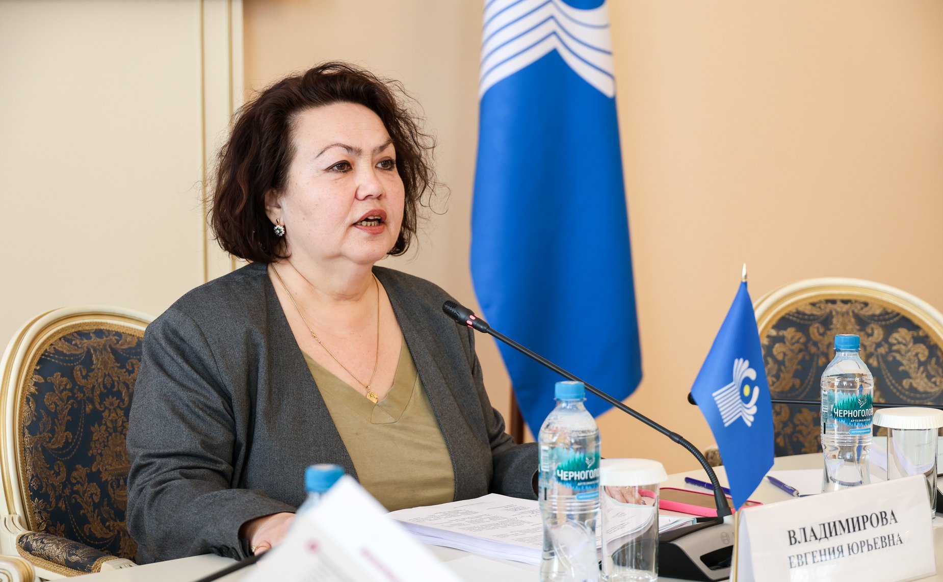 Заседание Постоянной комиссии МПА СНГ по социальной политике и правам человека